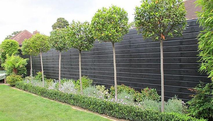 Fence company in Los Angeles - Publіkatsіia-v-blozі-globusgatescom-02052024-09 21 03-63119 Fence company in Los Angeles - Publіkatsіia-v-blozі-globusgatescom-02052024-09 21 03-63119
